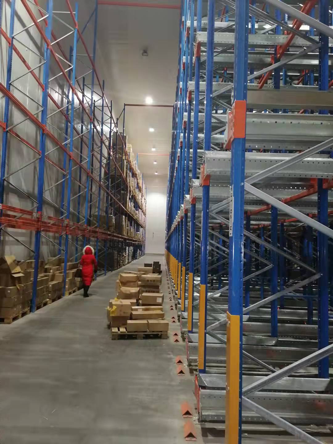 沛_保税集团q口肉类指定口岸